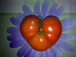 Día de San Valentín, Plantas y Frutas