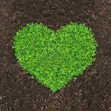 Día de San Valentín, Plantas y Frutas