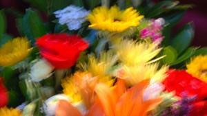 San Valentón (Barcelona, julio 2011) SAN VALENTÓN