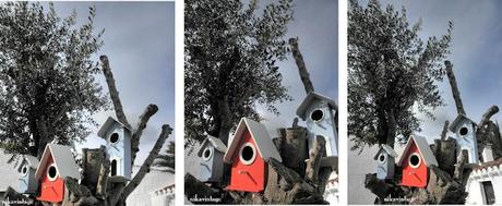 Casitas para pajaros Casitas para pajaros