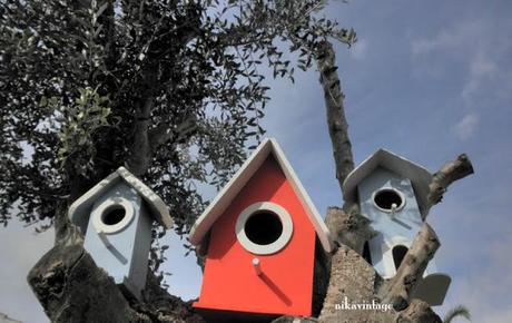 Casitas para pajaros Casitas para pajaros