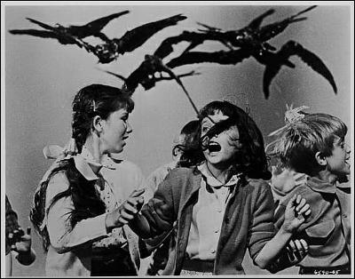 Los pájaros (The birds, 1963)