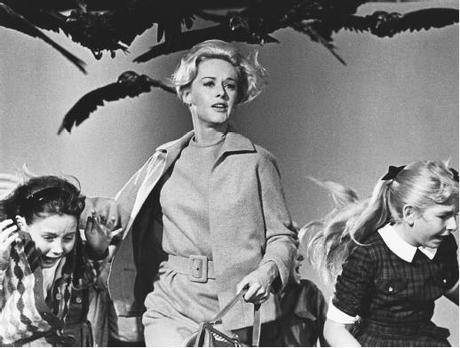 Los pájaros (The birds, 1963)