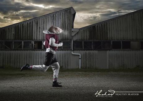 Los cabezas de pescado