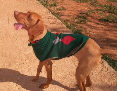 EIRE, lista para ser feliz (Murcia)‏