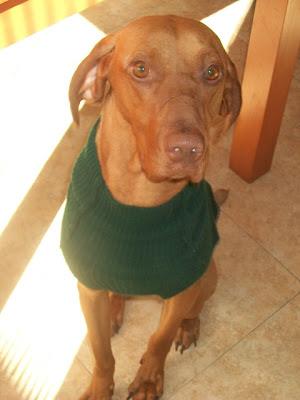 EIRE, lista para ser feliz (Murcia)‏