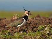 Unas imágenes domingo...