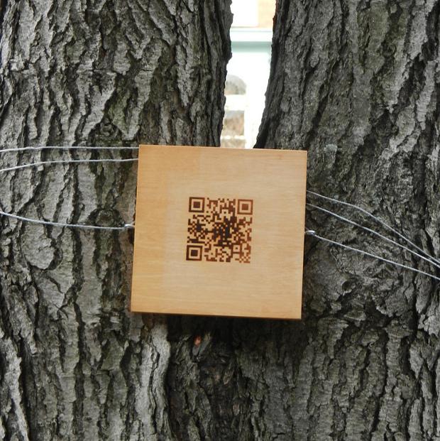 QR en árbol - imagen por William Angel en Flickr