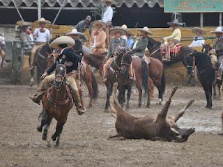 Capilla, Don Roberto y Jalisco, 1-2-4
