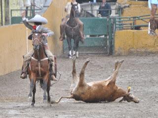 Las Palmas se Creció con 351