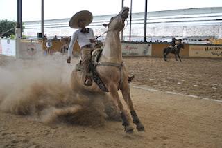 Las Palmas se Creció con 351