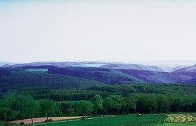 BELGICA I