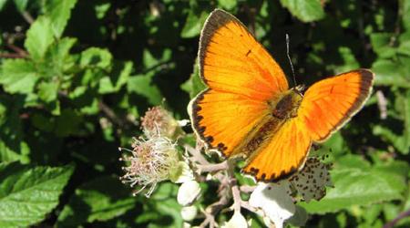 No cuestiones a Dios