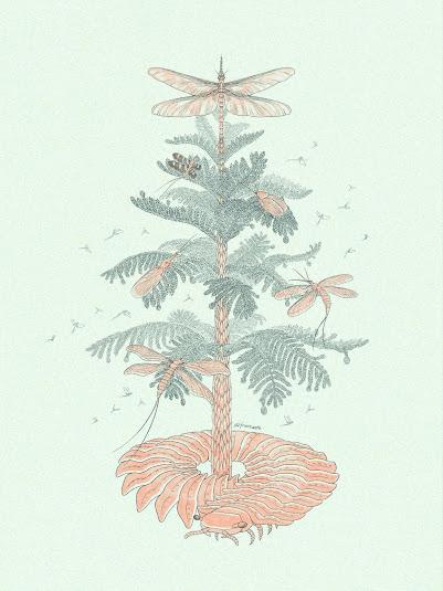 Unas cuantas ilustraciones paleonavideñas... (X)