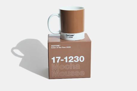 Mocha Mousse: El Pantone Color del Año 2025 que inspira calma y sofisticación
