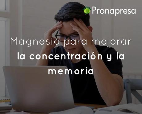 Magnesio para mejorar la concentración y la memoria