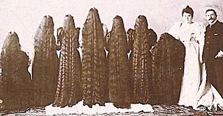 Crecepelos Shuterlan