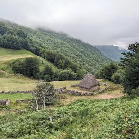 SOMIEDO, el reducto del oso pardo