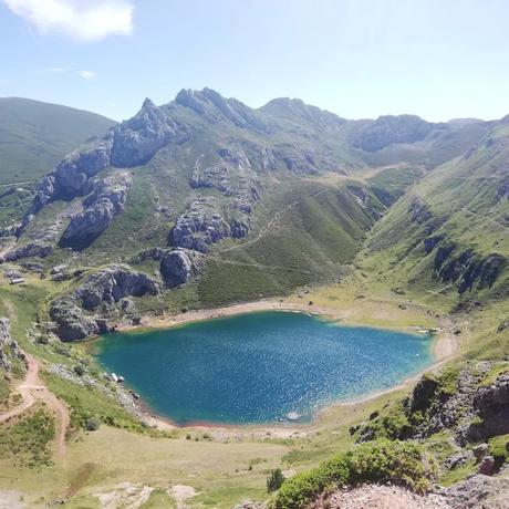 SOMIEDO, el reducto del oso pardo