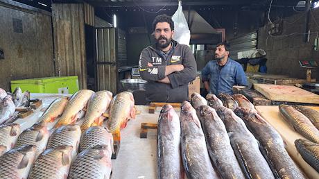 IRAK : PRIMERAS IMPRESIONES DE LA CIUDAD DE MOSUL IRAK : PRIMERAS IMPRESIONES DE LA CIUDAD DE MOSUL