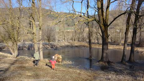 Ruta a las Basses de Gallissà y el Turó de Gallissà desde Bellver de Cerdanya | Baixa Cerdanya