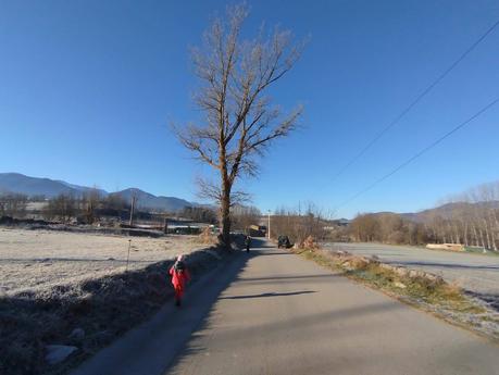 Ruta a las Basses de Gallissà y el Turó de Gallissà desde Bellver de Cerdanya | Baixa Cerdanya