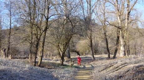 Ruta a las Basses de Gallissà y el Turó de Gallissà desde Bellver de Cerdanya | Baixa Cerdanya
