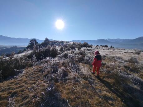 Ruta a las Basses de Gallissà y el Turó de Gallissà desde Bellver de Cerdanya | Baixa Cerdanya
