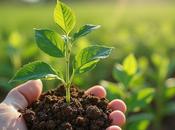 Libros guías Fertilizantes ecológicos: Imprescindibles