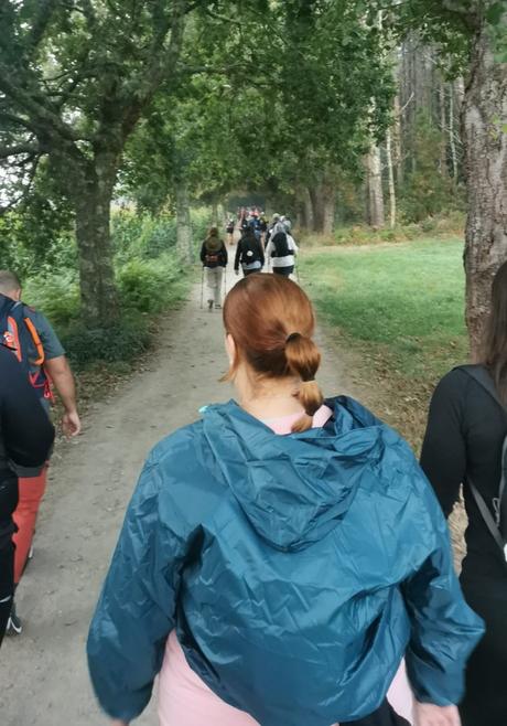 Camino de Santiago: Santa Irene - Santiago de Compostela
