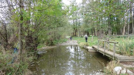 Caminata por Santa Maria de Quadres y la Bassa de Sanavastre | Cerdanya
