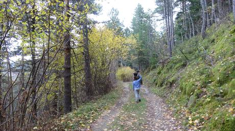 Ruta circular desde La Molina al Refugio de Segremorta | Cerdanya Ruta circular desde La Molina al Refugio de Segremorta | Cerdanya