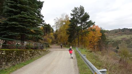 Ruta circular desde La Molina al Refugio de Segremorta | Cerdanya Ruta circular desde La Molina al Refugio de Segremorta | Cerdanya