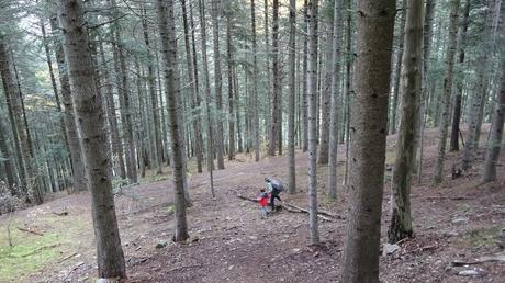 Ruta circular desde La Molina al Refugio de Segremorta | Cerdanya Ruta circular desde La Molina al Refugio de Segremorta | Cerdanya