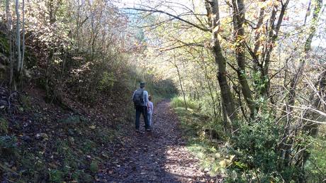 Ruta al nacimiento del Torrent de la Fou de Bor | Cerdanya