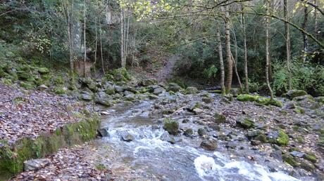 Ruta al nacimiento del Torrent de la Fou de Bor | Cerdanya