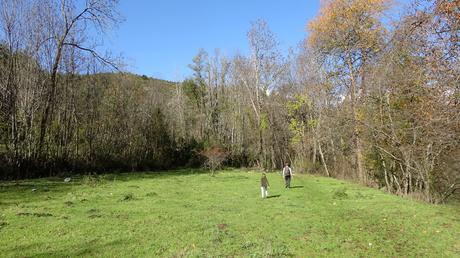 Ruta al nacimiento del Torrent de la Fou de Bor | Cerdanya