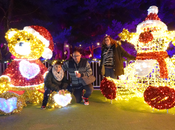 Descubre Manantial Sueños: magia Navidad Real Jardín Botánico Alfonso XIII
