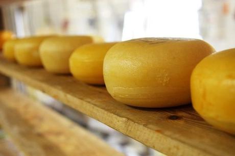 Tu guía definitiva para explorar queso tipico cantabria con estilo. Tu guía definitiva para explorar queso tipico cantabria con estilo.
