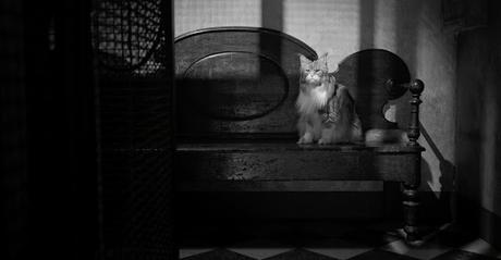 Los mejores episodios de 2024