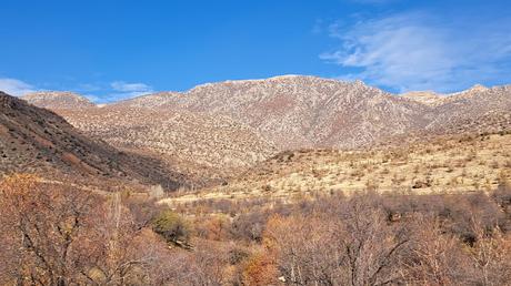 IRAK : AMADIYAH Y LA FÁBRICA DE TAHINE