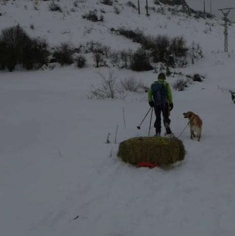 A la memoria de José Miguel Prieto, “El Capitán”