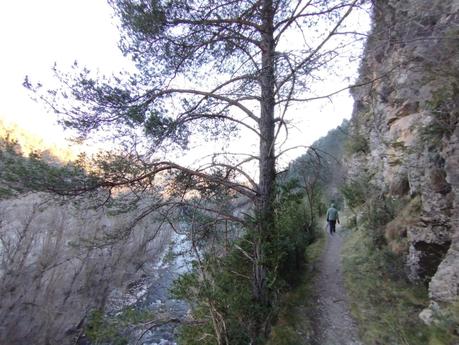 Ruta de la Llúdriga desde Martinet | Cerdanya