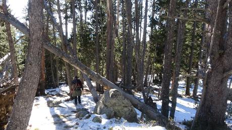 Ruta al Estany de l'Orri desde la estación de esquí de Lles | Cerdanya