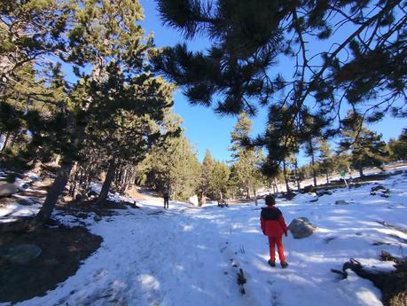 Ruta al Estany de l'Orri desde la estación de esquí de Lles | Cerdanya