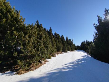 Ruta al Estany de l'Orri desde la estación de esquí de Lles | Cerdanya