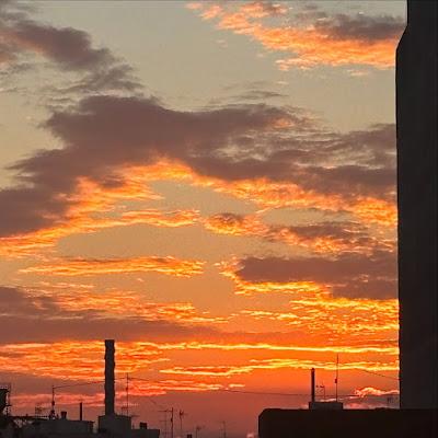 🎄 Una de fiestas!! 🎄