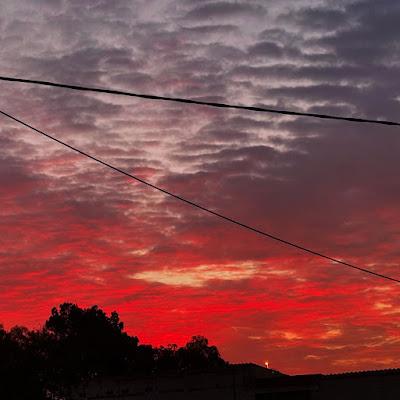 🎄 Una de fiestas!! 🎄