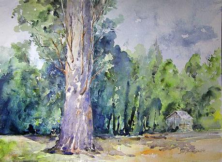 Acuarelas diciembre 2024