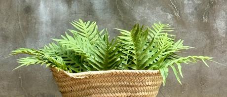 Resiliencia máxima. #2025